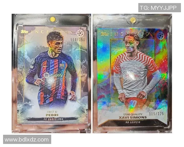 全球足球史上最贵的球星卡排名揭秘 哪些卡片价值飙升到天价 全球足球史上最贵的球星卡排名揭秘 哪些卡片价值飙升到天价